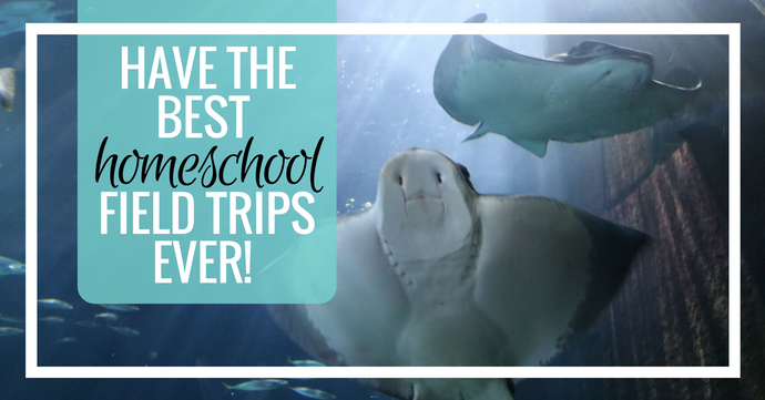 How to Have the BEST Field Trips Ever!